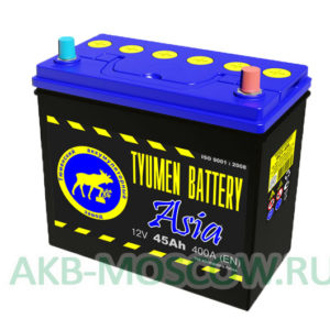 Купить аккумулятор Tyumen Battery Asia 45 в Москве