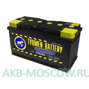 Купить аккумулятор Tyumen Battery STANDARD 100 в Москве