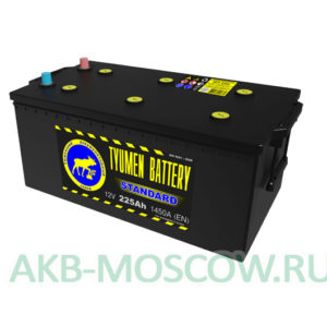 Купить аккумулятор Tyumen Battery STANDARD 225 в Москве