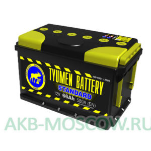Купить аккумулятор Tyumen Battery STANDARD 66 в Москве